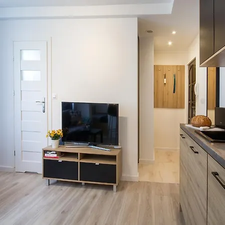 Apartment Compact I - Faktura Vat, Szybkie Wi-fi, Netflix, Niedaleko Centrum *