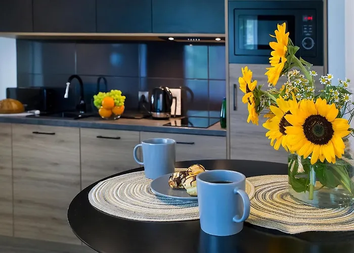 Compact I - Faktura Vat, Szybkie Wi-fi, Netflix, Niedaleko Centrum Daire